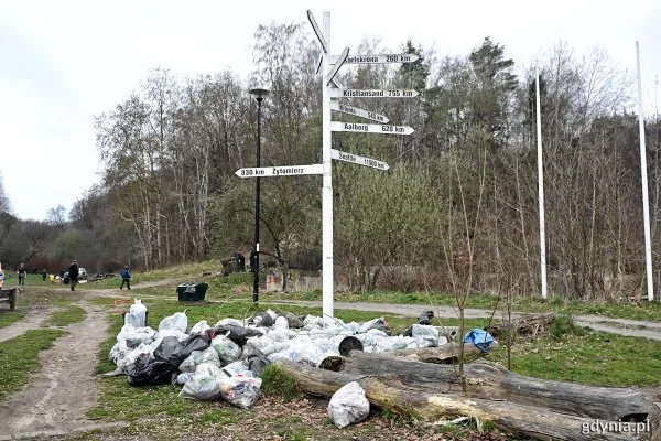 Gdynia sprząta dla Bałtyku. Dwa dni wspólnej akcji